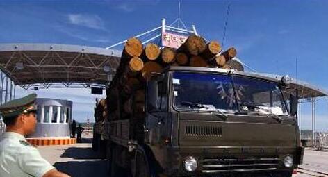 满洲里口岸汽车启运原木数量大幅增长创历史新高