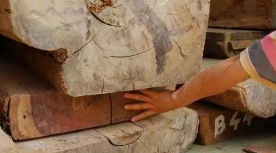 大红酸枝原材贸易面临全面禁止?(图1)