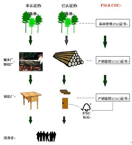 维木将联合FSC森林认证体系机构为木业市场服务(图3)