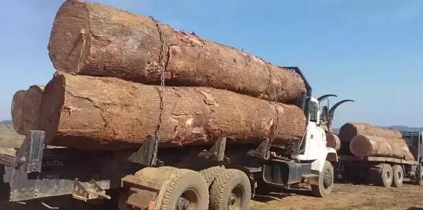 安哥拉木材出口又遇障碍 三十多辆车被扣北宽扎(图1)