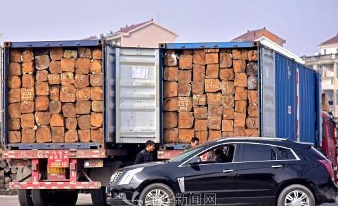 红木价格又要飚上天？东阳木材商正在大批囤积原材(图1)