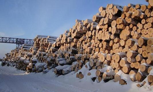 俄罗斯原木出口4月份对华增长20%