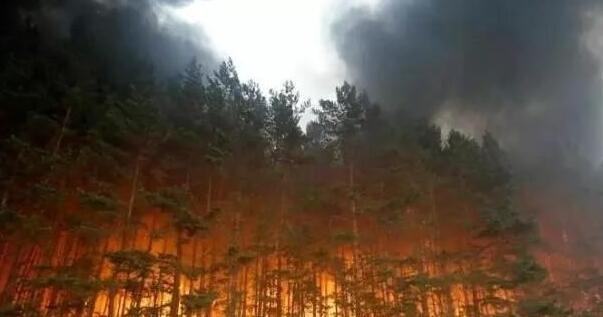  俄罗斯森林大火