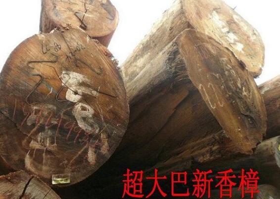 巴新材用于户外地板生产的量不断增大