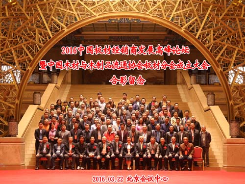 中国木材与木制品流通协会板材分会成立(图8)