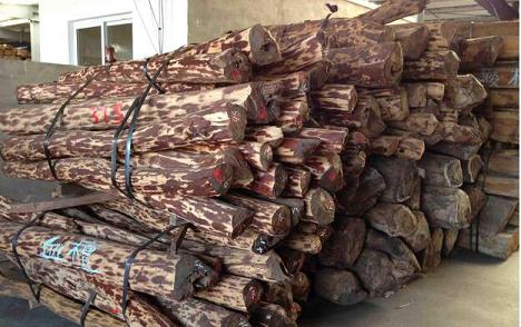 赞比亚血檀迎来市场大抄底 