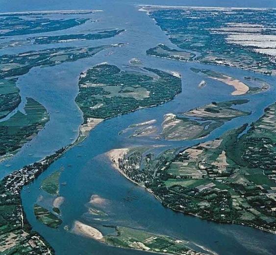  走进湄公河，探访中国伐木工