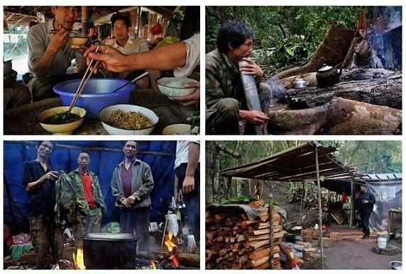  走进湄公河，探访中国伐木工