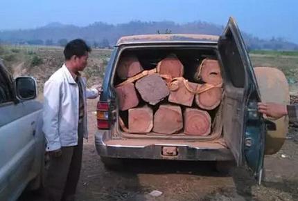 为了几根木头,他们居然连车都不要了(图1)