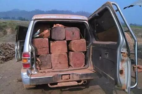 为了几根木头,他们居然连车都不要了(图3)