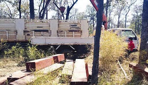 柬埔寨将动用直升机打击木材走私(图1)