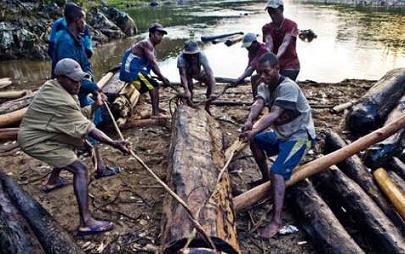 马达加斯加再禁红木出口(图1)