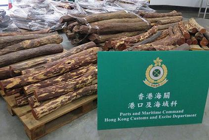 香港海关截获走私紫檀木材 总值约570万港元