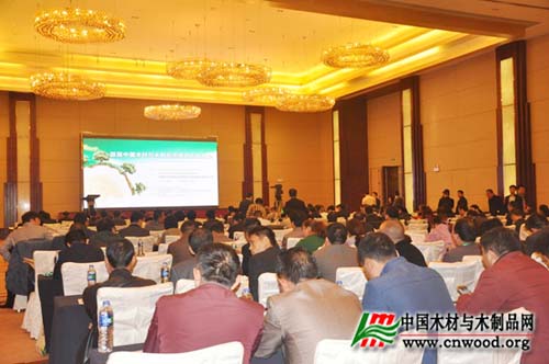 “首届中国木材与木制品市场供应链大会暨中国木材与木制品市场供应链总裁论坛”在河南漯河临颍举行(图1)