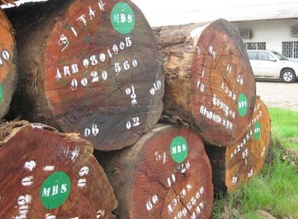 Okan 圆盘豆原木