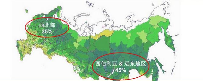 俄罗斯森林的年允许采伐量(图1)
