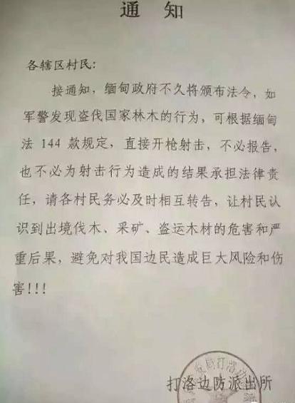 紧急通告：缅甸军警如发现盗伐红木将直接开枪射击
