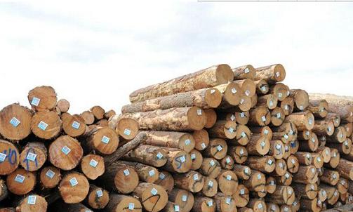 2015年木材市场行情何时能好转？