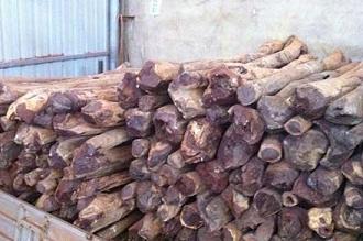 印度小叶紫檀行情走势深度分析(图1)