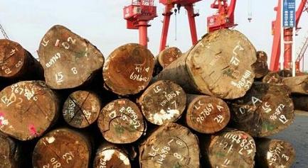 张家港木材市场：东南亚木材进口减半出货缓慢(图1)