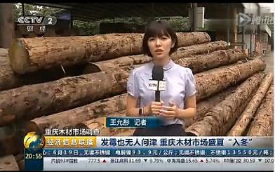 堆到发霉无人问津 木材市场盛夏“入冬”(图1) 堆到发霉无人问津 木材市场盛夏“入冬”