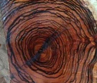 大叶黄花梨木材纹理（横截面）