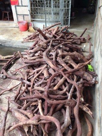 难得一见的好珠子料