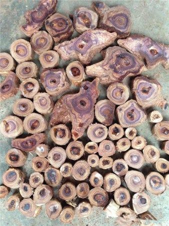 几个原因告诉你：海南黄花梨价格为啥狂涨(图8)