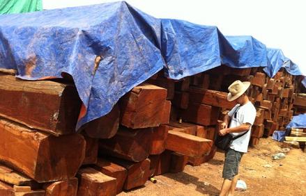 缅甸战乱致木材短缺 老挝花梨、越柬紫檀等替代材走强(图1)