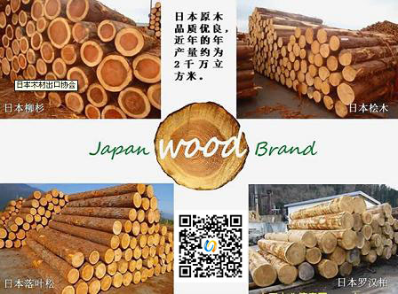 图：日本木材出口协会