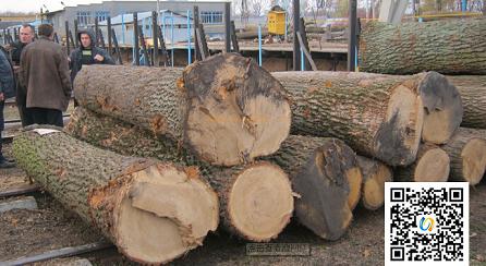 乌克兰橡木出口市场深度分析 中国占据第一名(图1) 乌克兰进口橡木原木