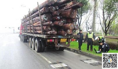 太仓港区开展木材运输车辆专项整治(图1)