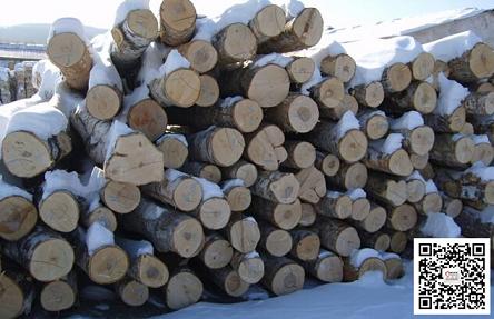 卢布贬值大幅贬值 但四季度俄罗斯原木和木材出口量未增加(图1) 卢布贬值大幅贬值 但四季度俄罗斯原木和木材出口量未增加(图1)