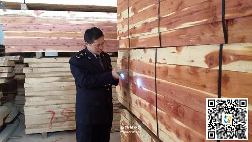 南京口岸一批弗吉尼亚桧木到货(图1)