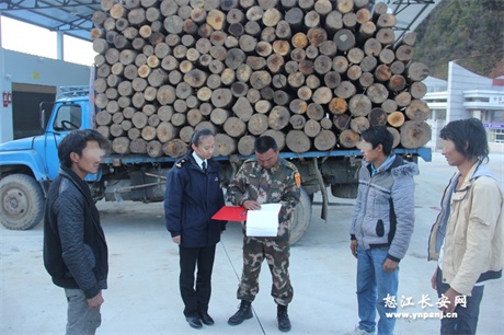 片马边境检查站查获走私西南桦原木206根(图1)