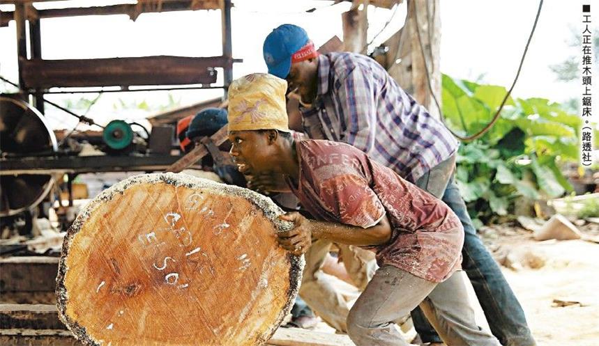 宁波口岸红木原木进口激增3.5倍(图1)