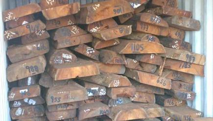 南美材市场观察：铁木豆出货量下滑(图1)