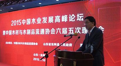 2015中国木业发展高峰论坛在东阿成功举行(图1)