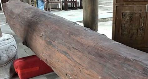 一根木头值两亿 全球仅此一棵(图1)