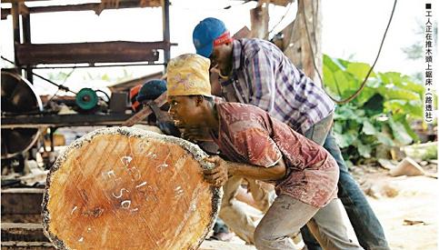 国际木业扫描：尼日利亚伐木业(图1)