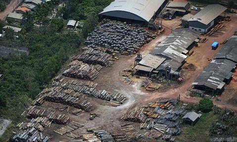 亚马孙雨林盗伐