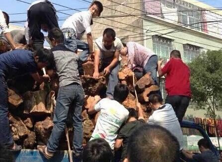 仙游红木市场疯抢崖柏原木(图1) 仙游红木市场疯抢崖柏原木