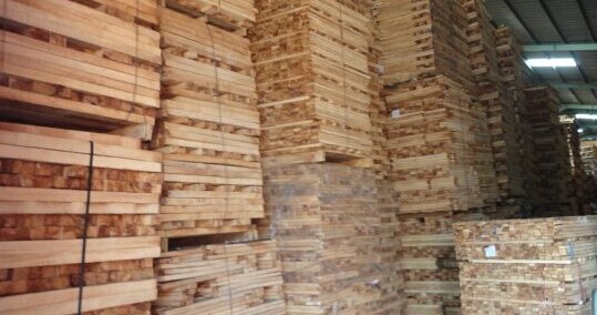 顺德木业商会：橡胶木市场畸形 不变革无以复兴(图1)