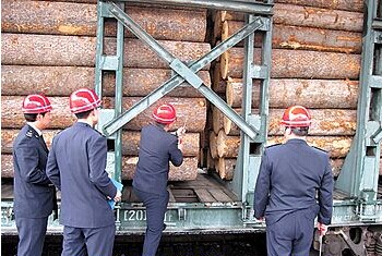 绥芬河口岸进口原木创新高(图1)