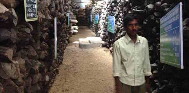 印度土豪被迫退出!小叶紫檀拍卖会或有捡漏机会(图1) 印度土豪被迫退出!小叶紫檀拍卖会或有捡漏机会(图1)