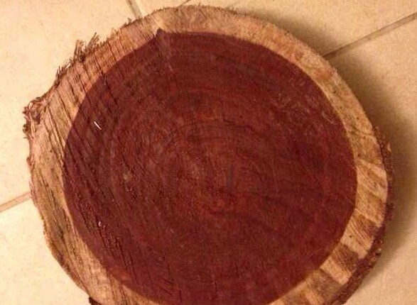 赞比亚血檀原木被红木市场热炒背后的真相(图1)