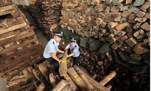 广州海关破获10亿元走私红木大案(图1)