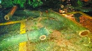 一锯子下去百万元黄花梨毁了(图2)