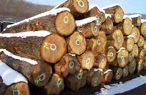 绥芬河口岸柞木恢复过货 价格涨幅较大(图1) 绥芬河口岸柞木恢复过货 价格涨幅较大(图1)