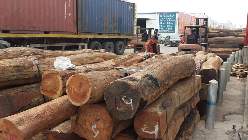 红木原料涨价在即 大量游资涌入为市场积蓄后劲(图1)